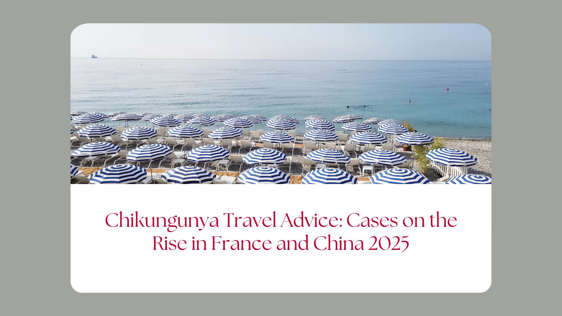 Chikungunya Travel Advice Cases on the Rise in France and China 2025